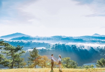 ĐÀ LẠT : ĐỒI CHÈ CẦU ĐẤT- CÁNH ĐỒNG CẨM TÚ CẦU - HOA SƠN ĐIỀN TRANG 4N3Đ