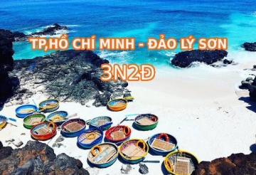 TOUR ĐẢO LÝ SƠN 