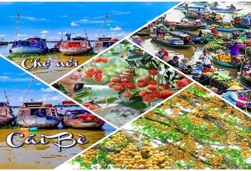 TOUR CÁI BÈ 01 NGÀY 